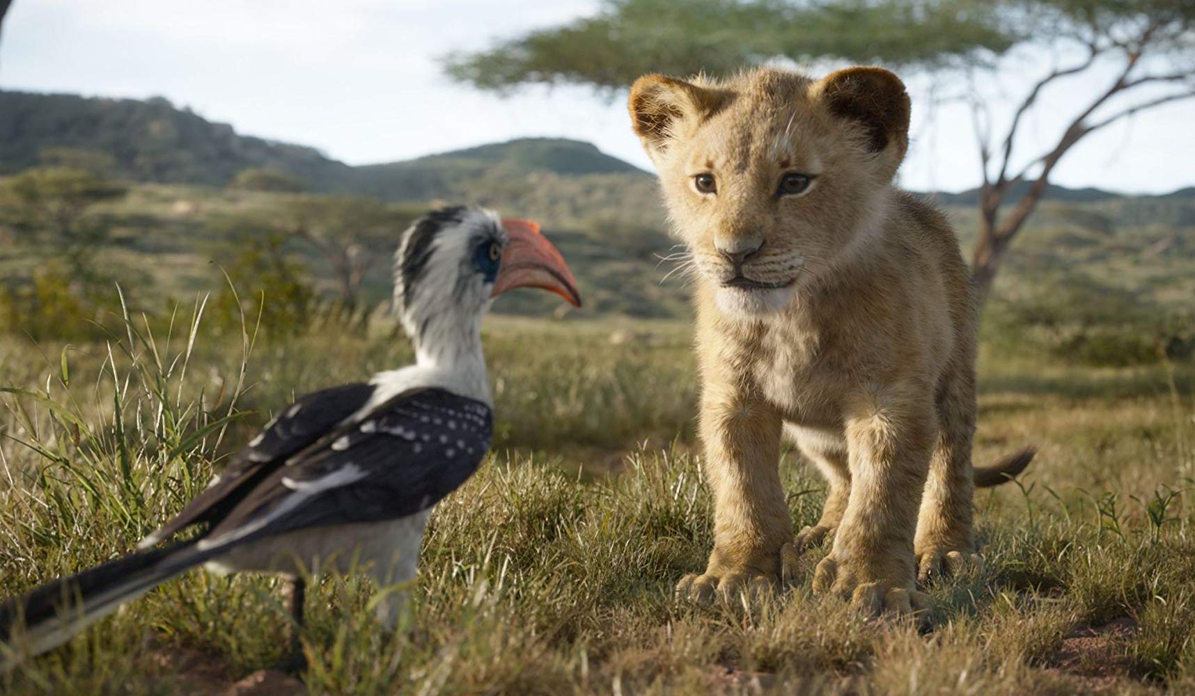 Disney's "The Lion King"