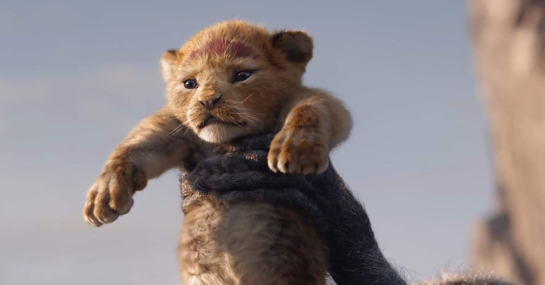 'The Lion King' Official Trailer Is Here & The Animals Are Scarily Life-Like! (CREDIT: Walt Disney) 'The Lion King' Official Trailer Is Here & The Animals Are Scarily Life-Like!