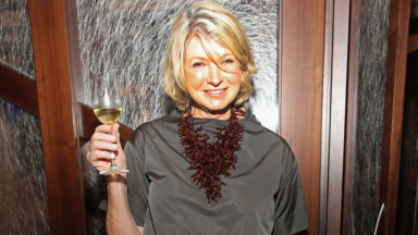 Martha Stewart Being Fabulous Over The Years