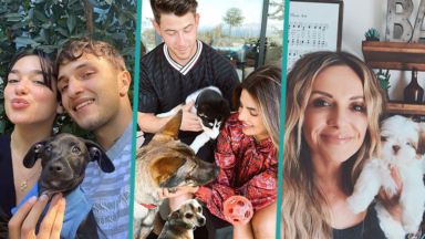 Puppy Love: Celebs Who Brought Home Pets In Quarantine