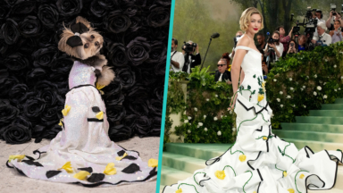 Dogs Wear Recreated Met Gala Looks From Gigi Hadid, Bad Bunny & More In Adorable 'Pet Gala'